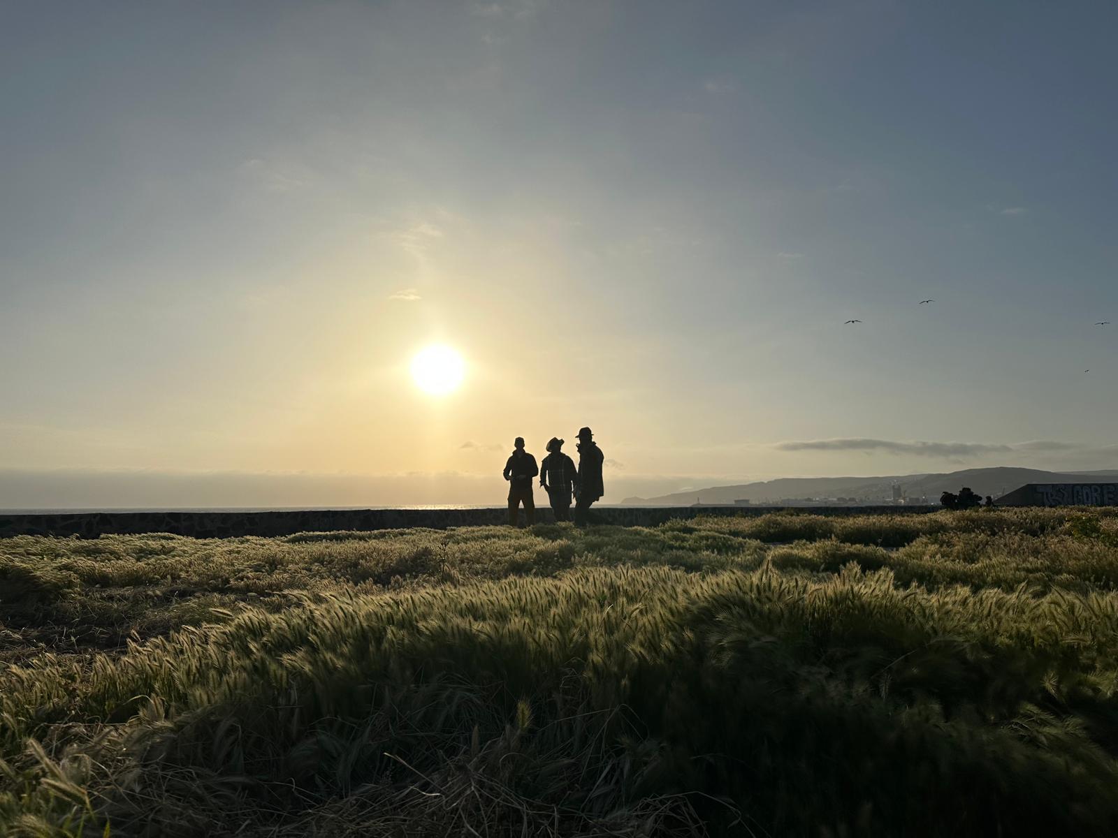 Three figures silhouetted against a wide golden sunset over tall grass